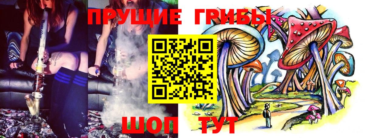 Галлюциногенные грибы Psilocybe Тихорецк